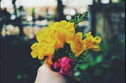  I Am Talking to Forget