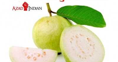 à¤à¤¨à¤à¤¿à¤¨à¤¤ à¤°à¥à¤à¥à¤ à¤à¤¾ à¤¨à¤¾à¤¶à¤ : à¤à¤®à¤°à¥à¤¦ I Benefits Of Guava In Ayurveda