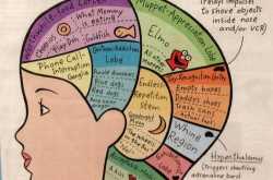 #Iftoddlerscouldspeaktheirmind