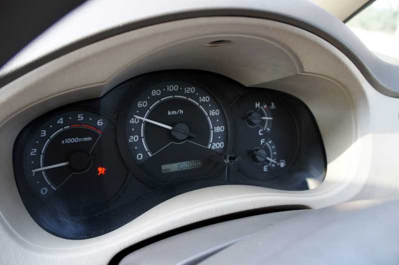 "Indy" Turns 4 Years Old.......How Many Years Is That In Human Years?