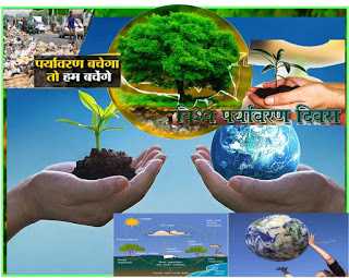 विश्व पर्यावरण दिवस पर -विशेष| International Environment Day
