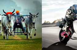  Is Your Website a Semantic Search Engine Friendly? 