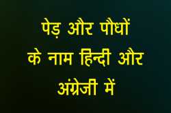 पेड़ और पौधों के नाम हिन्‍दी और अंग्रेजी में - Jagruk