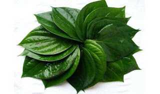 ವಿನೂತನ - Jeevanada Neeti Paatagalu: ಊಟ ನಂತರ ವೀಳ್ಯದೆಲೆ ತಿನ್ನುವುದರ ಲಾಭಗಳು ಗೊತ್ತಾ !!