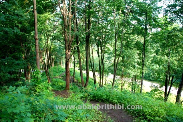 ভিলিনুসের পাহাড় পার্ক (Kalnai Park, Lithuania)