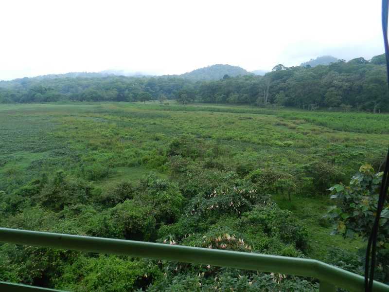 केरळ - ठेकाडी (Keral -Thekaddy )