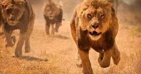 कुछ खट्टी कुछ मीठी Kuch Khatti Kuch Mitthi