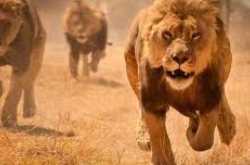 कुछ खट्टी कुछ मीठी Kuch Khatti Kuch Mitthi