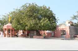  Lakshmi Narayana Mandir, Somnath