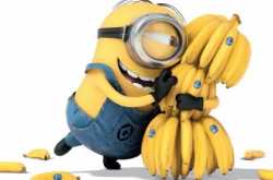  Life is a lot like Food- Cut the CRAP and you are sorted!