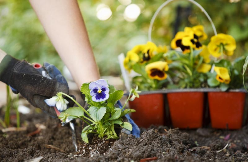 [M] मिटटी, मेरे हर घर की #AtoZChallenge