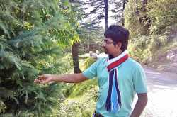 #MMTLuxuryStays Shimla Travel Photography @makemytrip @blogadda