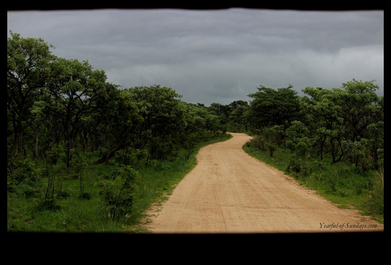 #MeetSouthAfrica With Jonty Rhodes
