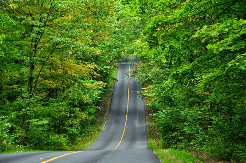 “My First Mini Lonely Travel In US”..Blendon Woods Metro Park 