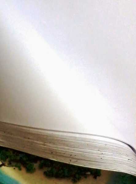  My Friend, My Notebook