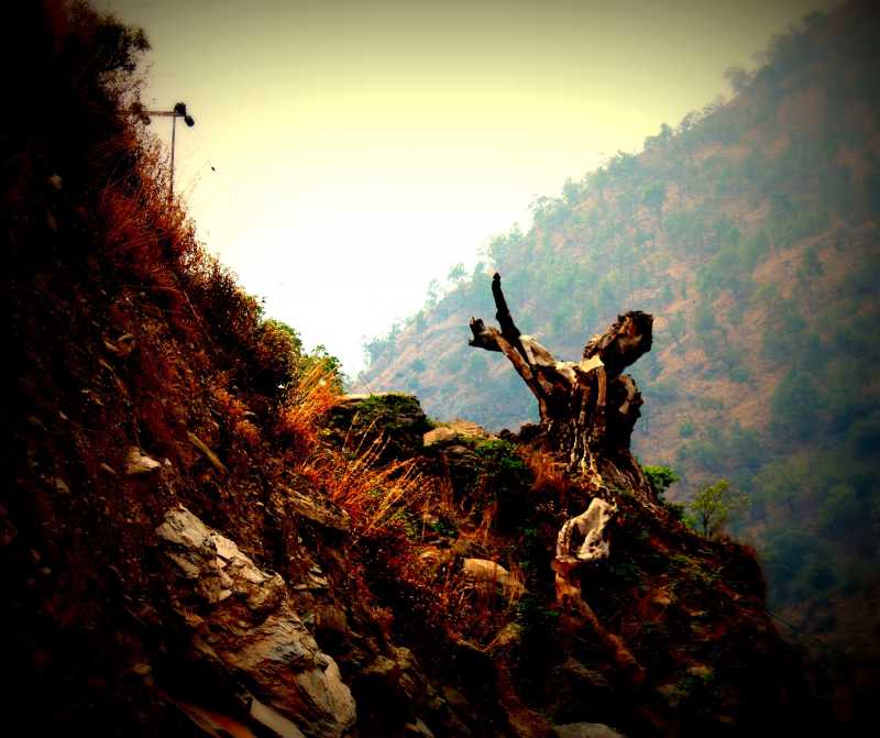  "PALPATATION" Journey For The Four 