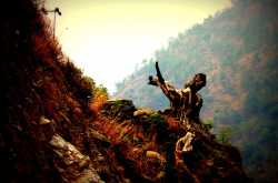  "palpatation" journey for the four 