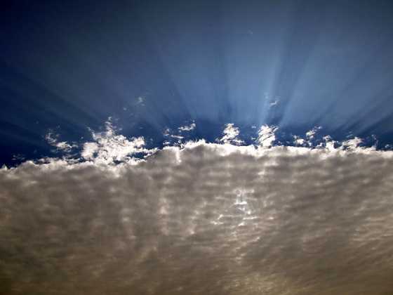 [Palindrome] - Unheard