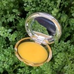  Product Review: Forest Essentials Luscious Lip Balm Narangi Glaze - Fashion Blog 
