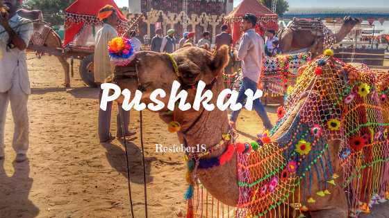#PushkarCalling : 15 Pictures That Urge You To Pack Your Bags And Leave For Pushkar Now!