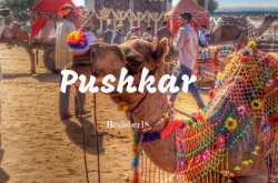 #PushkarCalling : 15 Pictures that urge you to pack your bags and leave for Pushkar now!