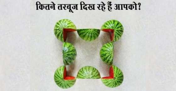 कितने तरबूज दिख रहे हैं आपको? | Puzzles & Riddles