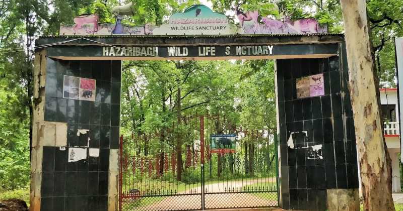 मानसूनी झारखंड : सफ़र हजारीबाग वन्य जीव अभ्यारण्य और तिलैया बाँध का Road Trip To Hazaribagh Wildlife Sanctuary And Tilaiya Dam