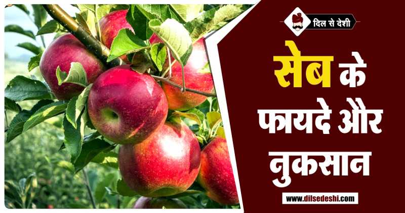 सेब खाने के फायदे और नुकसान | Seb Ke Fayde Aur Nuksan In Hindi