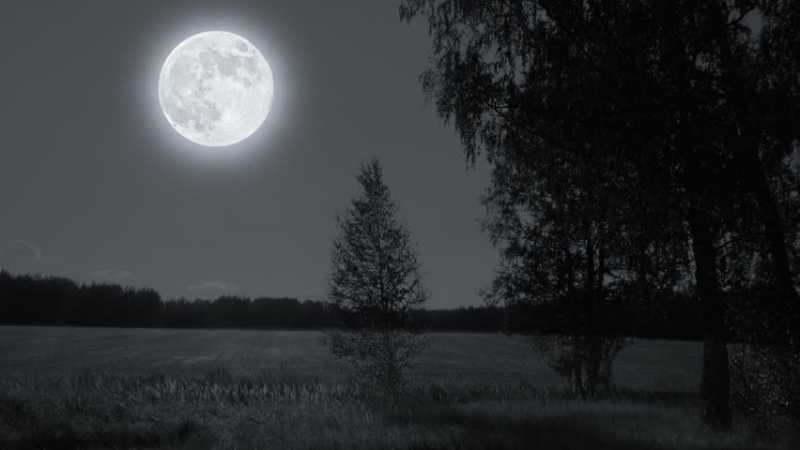 [Short Story] An Unsafe Bet - Chapter 2