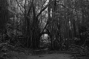 [Short Story] An Unsafe Bet - Chapter 5