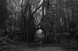 [Short Story] An Unsafe Bet - Chapter 5