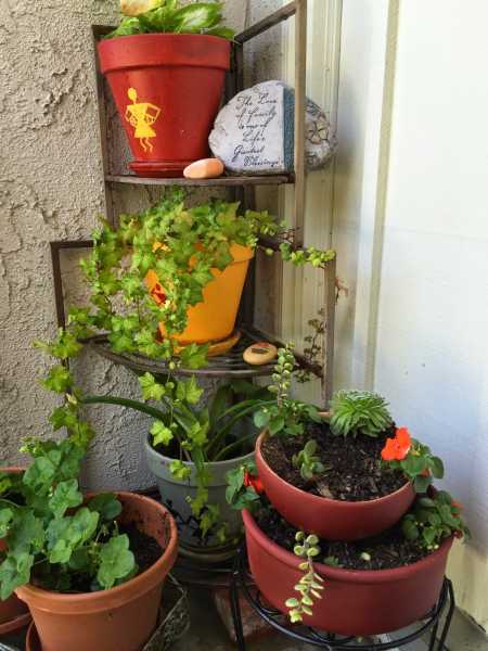 "Spring" Into Action