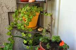 \"Spring\" into action