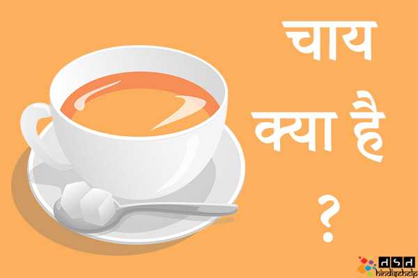 चाय (Tea) क्या है ? चाय के फायदे और नुकसान | चाय के हानिकारक प्रभाव | हिंदी से हेल्प