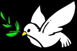                                                                                   The Angry Young Citizen 