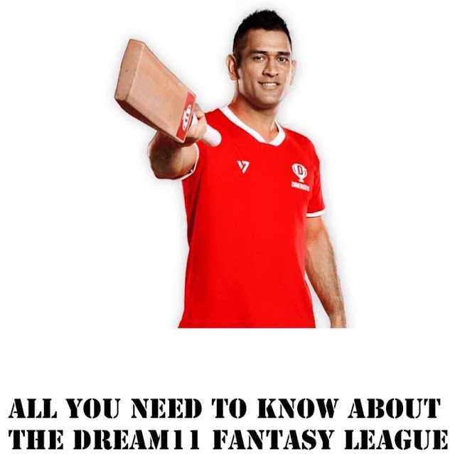                                              The Chicster Diaries: All You Need To Know About The Dream11 Fantasy League