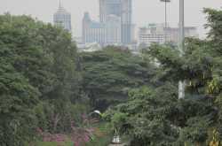                                                                                The Extrovert City!!