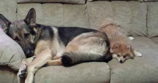 "The Mind Arrest" By Aparnaa