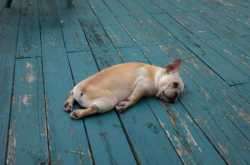 \"The Most Tiresome Day of My Life..\"