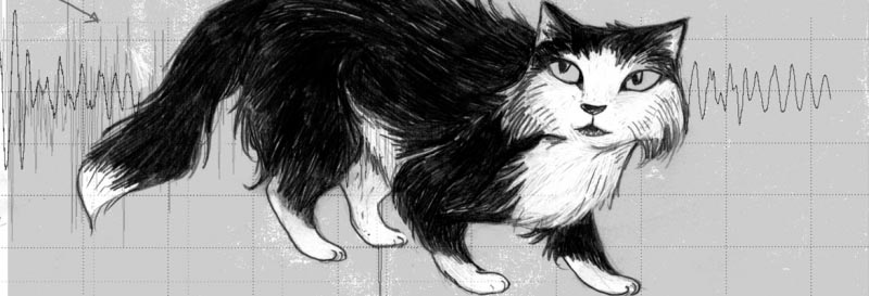 “The Wildings” By Nilanjana S Roy, Illustrated By Prabha Mallya