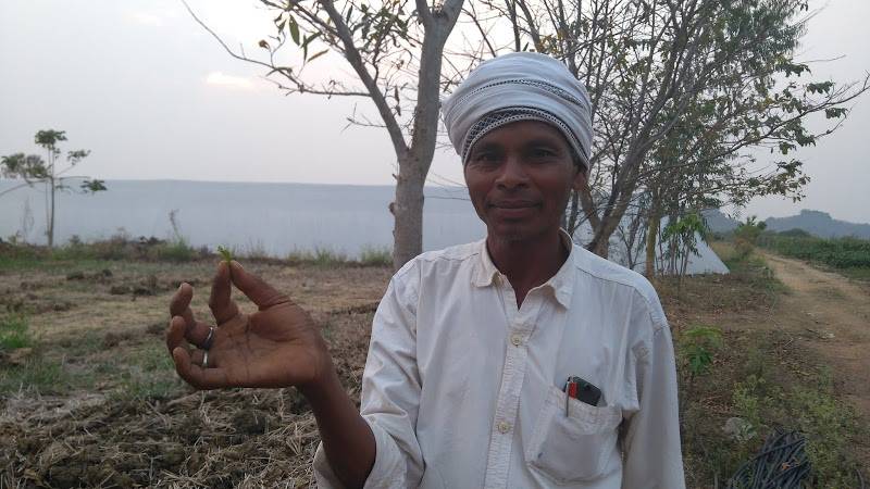 The Indigenous Doctors And Healers Of Chhattisgarh 