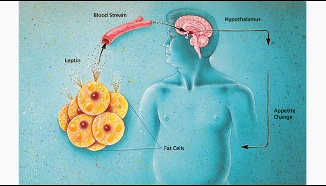 "The Weight Of Our Nation : India" Series Part 8  (Thrifty Gene)