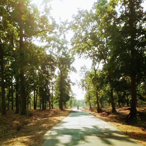 #TheQuestfornewhome #fiction #story #words