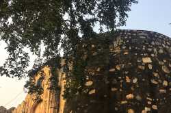 #thursdaytreelove - 66 - happiness and food