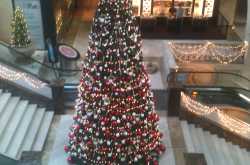 ‘Tis the Season …