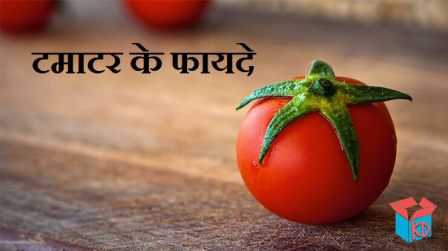 टमाटर के फायदे व जानकारी Tomato Information In Hindi - Knowledge Dabba