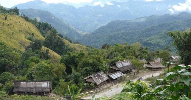  Top 5 Amazing Forests To Visit In India