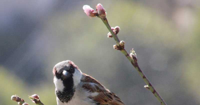 ट्रैवल डायरी - होली (Travel Diary - Holi)