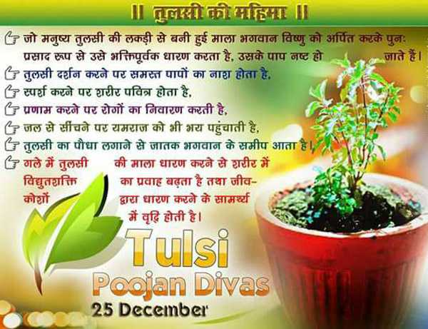 तुलसी की महिमा Tulsi Pujan Diwas Wishes, Message, Greetings