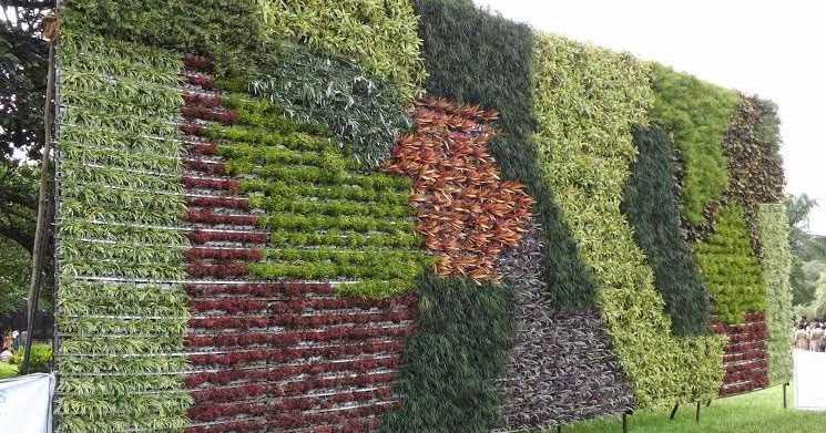 சுவர் தோட்டம்   ( Wall Gardening )
